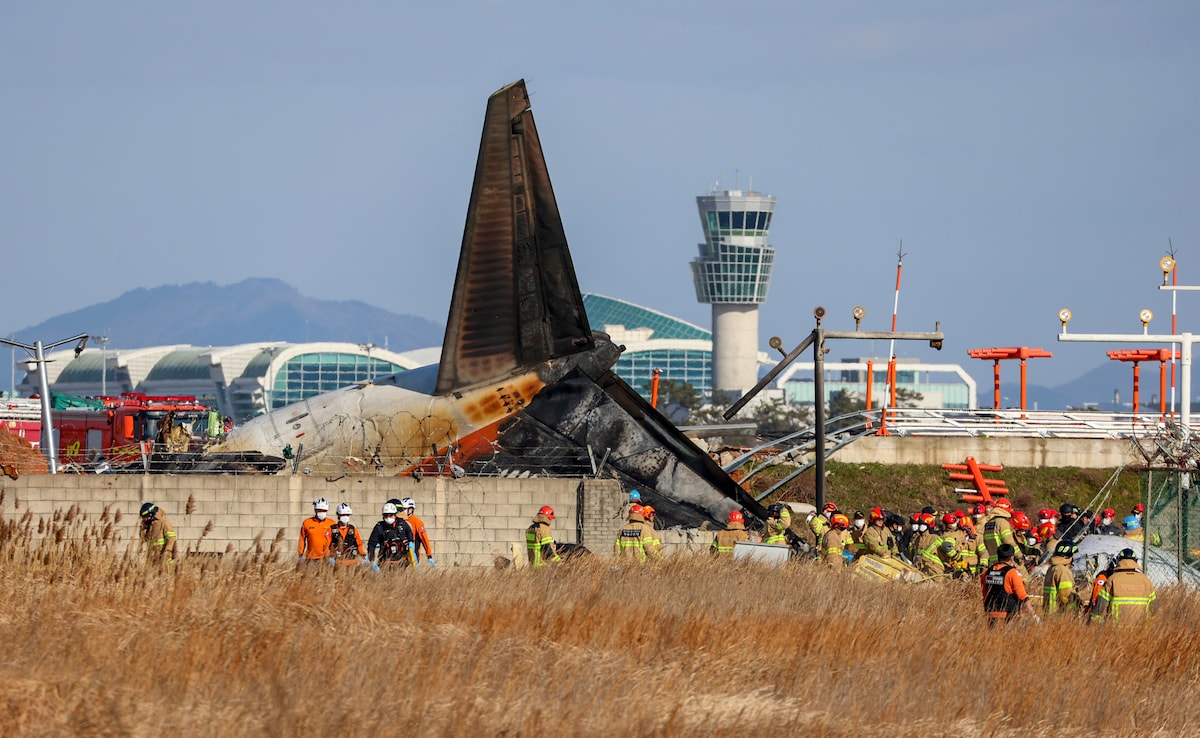 Plane crashes south korea